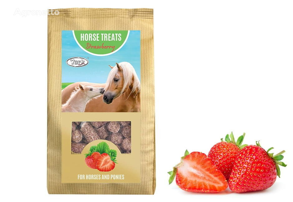 Horse candy